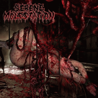 Serene Molestation : Abused & Confused